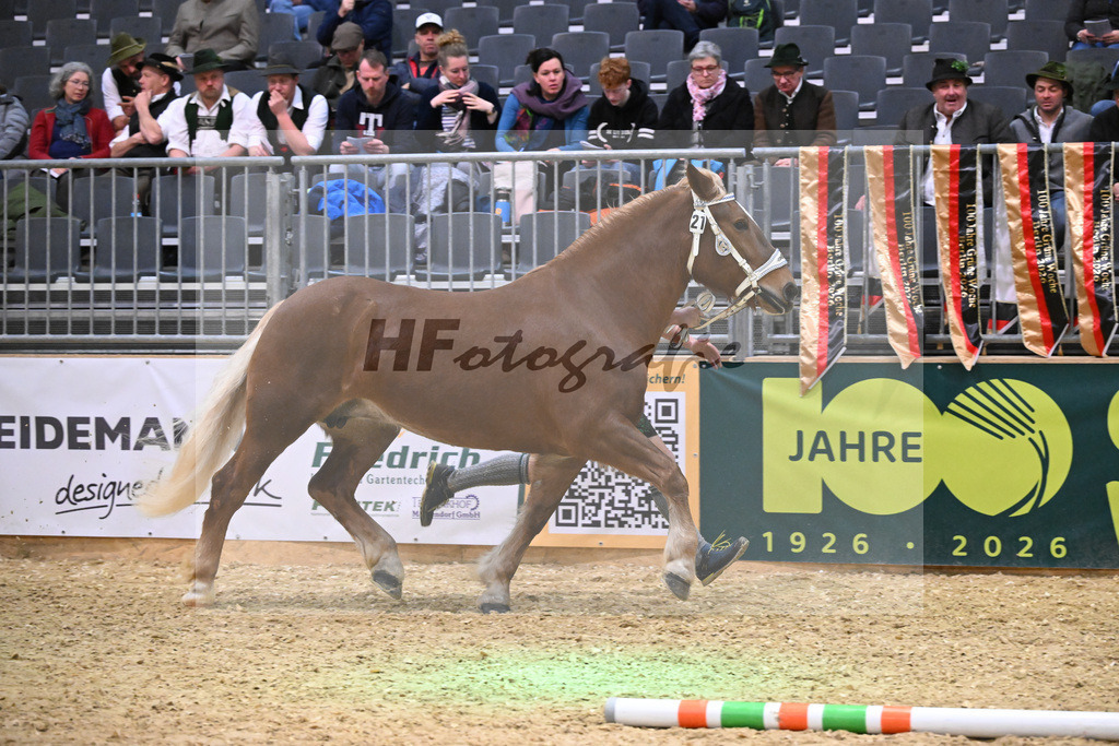 Kat-Nr. 21 Heleni v. Sultan_Hoeck_1260320 | hf-fotografie - Realisiert mit Pictrs.com