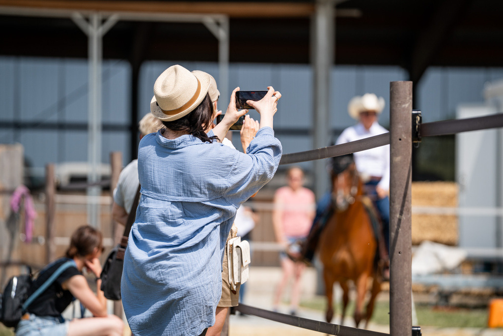 DSC00429 | Pferdegrafie