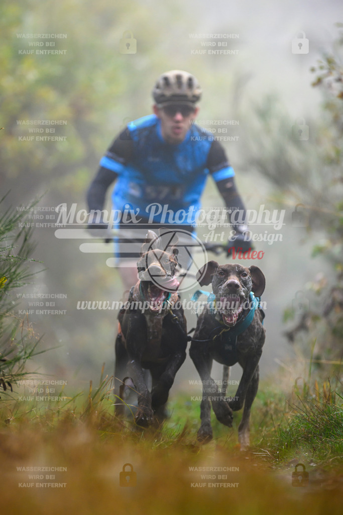 MompixPhotography_20TSB_E4_DS2-9 | PayLife