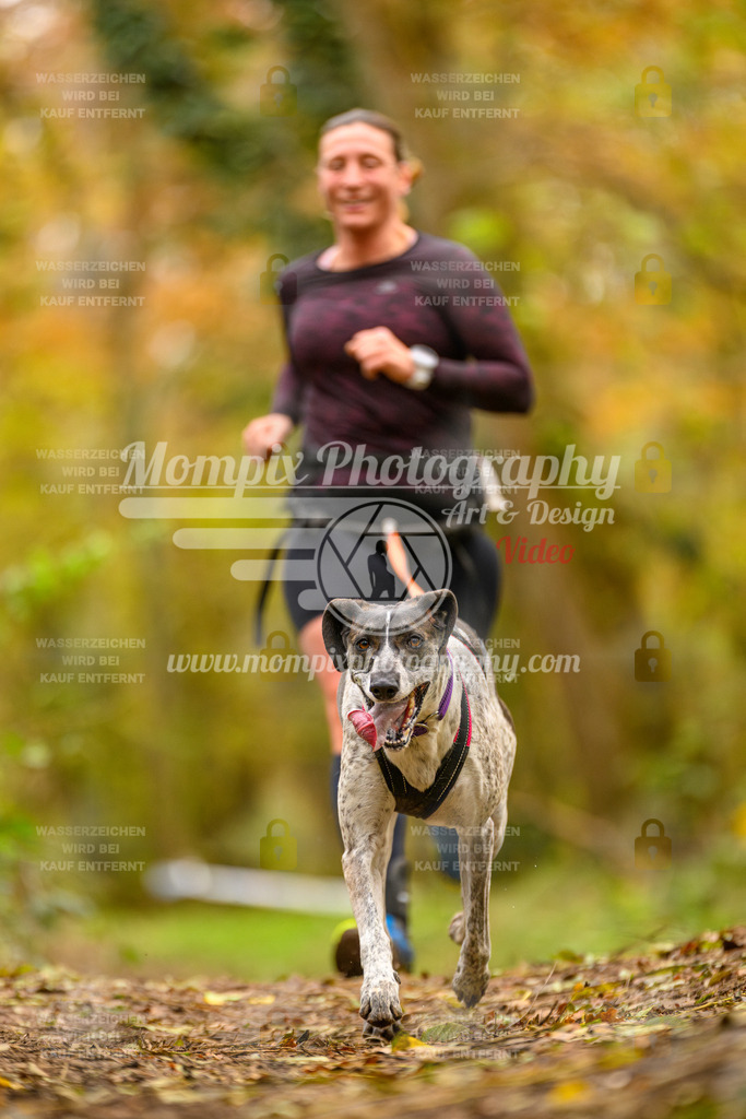 MompixPhotography_Bischwiller24_SA_Canicross-174 | PayLife