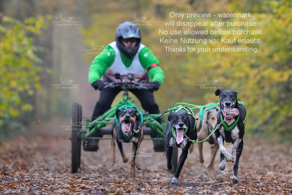 AusschnitteSo-5 | stephaniefillaphotographie - Realisiert mit Pictrs.com