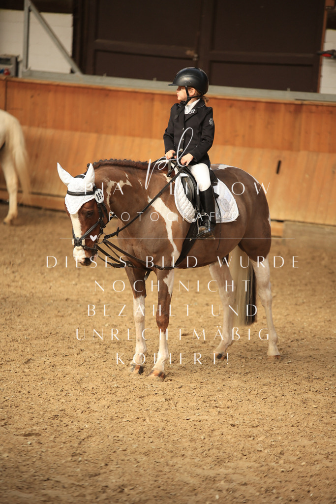 IMGT5833 | pl-fotografie