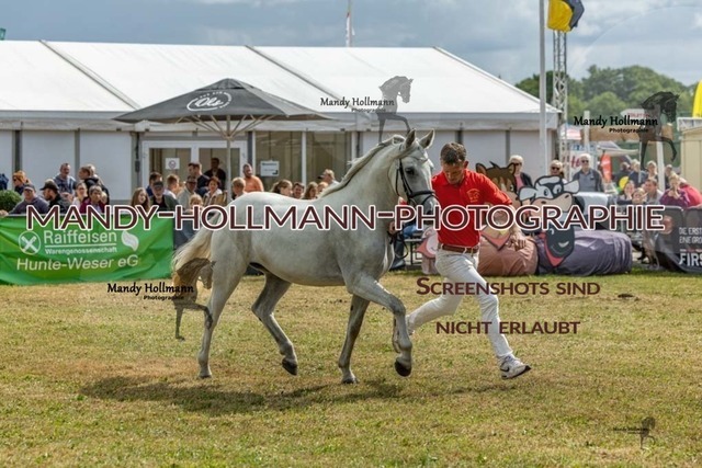 26-8-22 Gemischt-56 | mandyhollmannphotographie