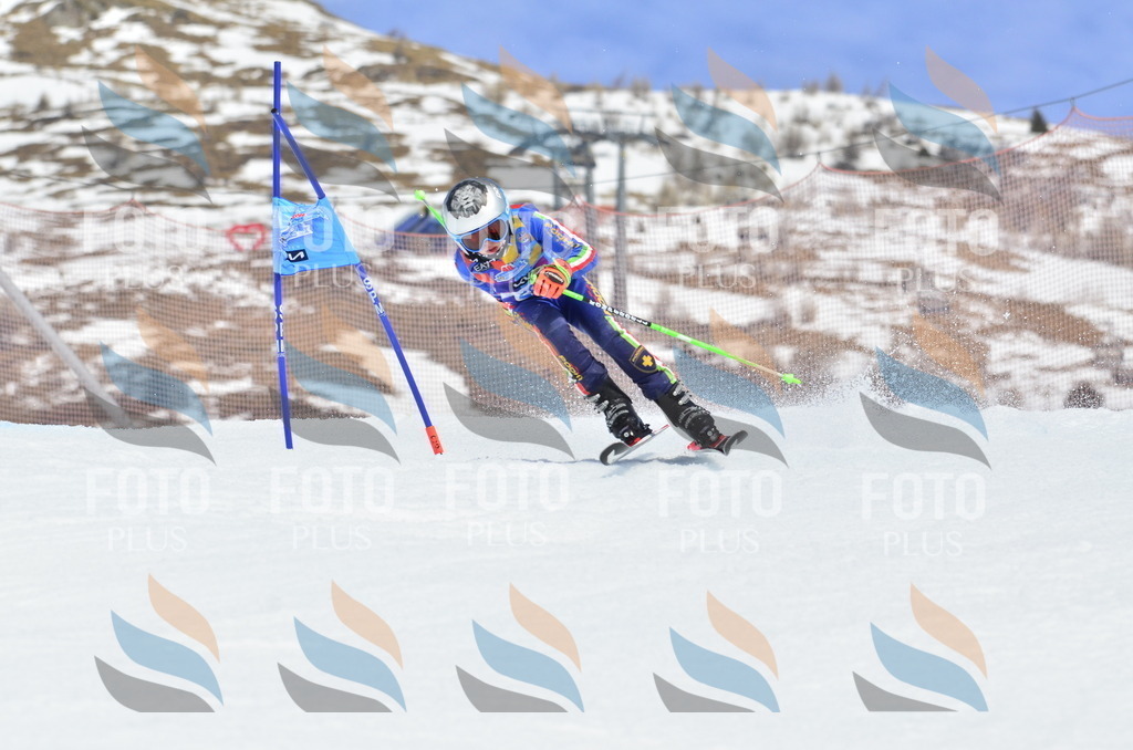 _ELE2027 | holidayphoto