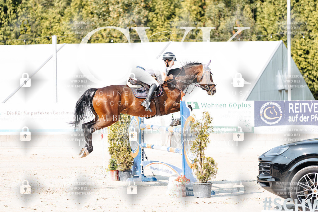 CK902158 | Turnierfotografie Pferdefotografie Trier Rheinland-Pfalz Pferdesport Reitsport Tierfotografie Sportfotografie Pferdevideo Pferdevideografie Equestrianvideography equestrianphotography  - Realisiert mit Pictrs.com