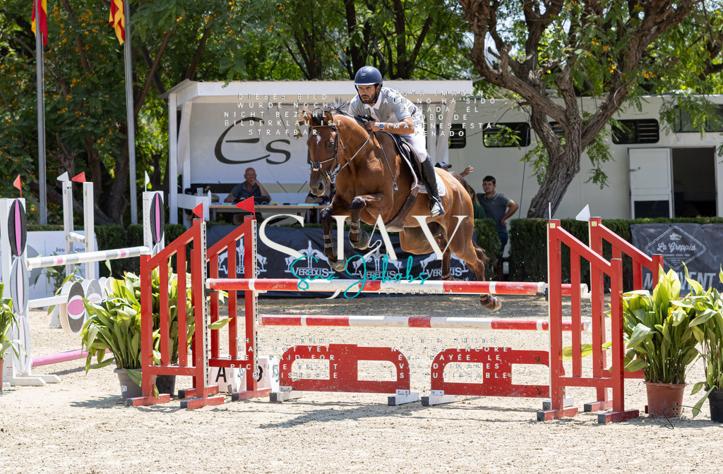 IMG_7438 | s-jay-photography - Realisiert mit Pictrs.com