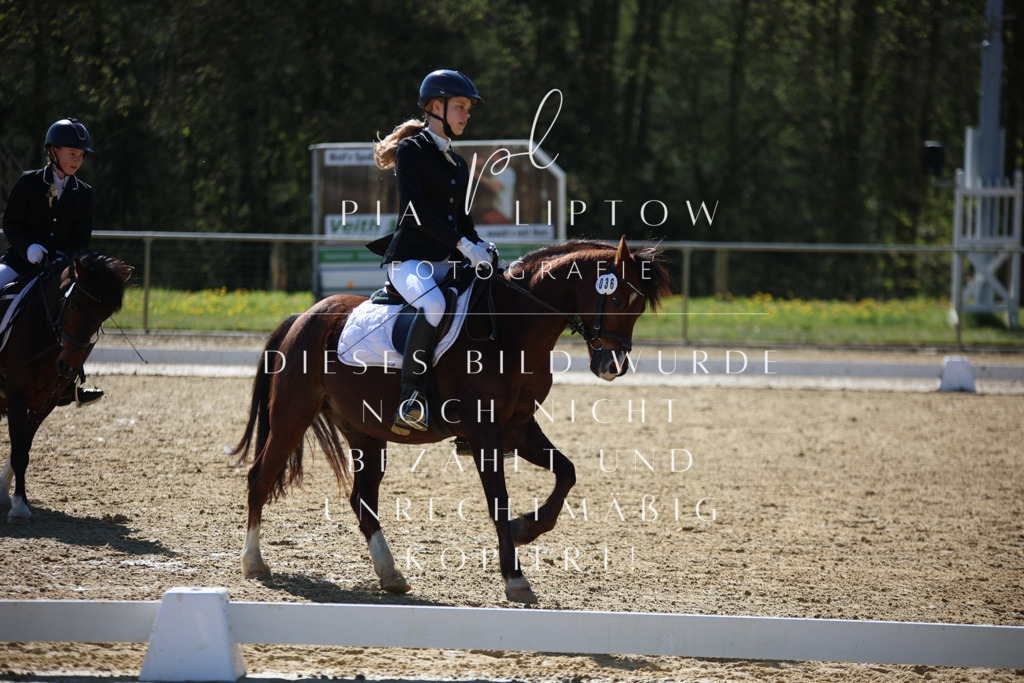 IMGT0248 | pl-fotografie