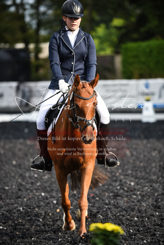 DSC_3423 | Pferde- und Turnierfotografie in Westsachsen. Pferdeportraits, Auftragszeichnungen und intuitive Kunst.