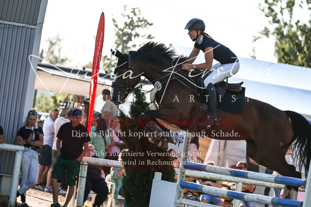 DSC_2891 | Pferde- und Turnierfotografie in Westsachsen. Pferdeportraits, Auftragszeichnungen und intuitive Kunst.
