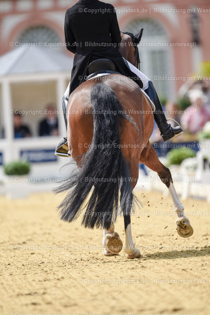 20250607_1_GP-Tour_Dressage_0168 | Foto: Thomas Hartig
