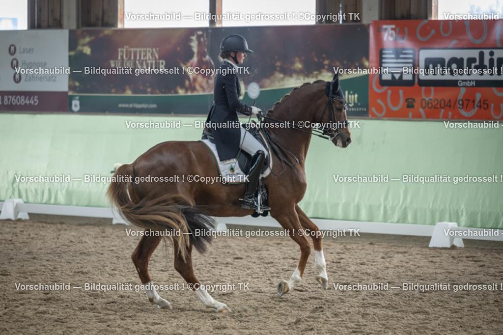 _D5A6461 | Emotionale Pferde- & People-Fotografie rund um Heidelberg, Leimen & Umgebung. Natürliche Fotos von Pferd, Mensch & Familie. Jetzt Termin sichern!