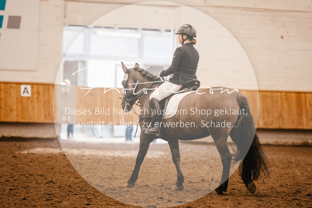 3I6A6134 | Stimmungsvolle Portraits und Reitsportfotografie im Ruhrgebiet und im Münsterland.

Pferdefotografie, Hundefotografie, Tierfotografie, Reportagen, Portraits von Tier und Mensch, Turnierfotografie in Bochum, Recklinghausen, Marl, Haltern am See, Dülmen.. - Realisiert mit Pictrs.com
