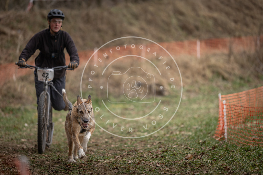 Pfotenfotografie_DV3A0551 | Hundefotografie, Tierfotograf, Pfotenfotografie, Fotoshooting Hund, Hunde Portrait, Hundesport, Hundeportraits, Heideshooting, Hunde, Sportfotograf, Hundefotograf, Turnierhundsport, THS,  - Realisiert mit Pictrs.com