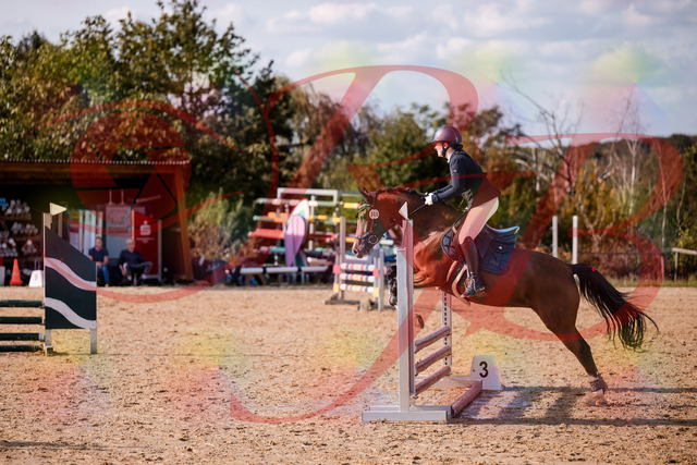 2026_10_03_Siefer-Hof_155332_Z81_73021368 | Professionelle Reitsport-, Turnier- und Eventfotografie von Robert Broda. Galerien mit ausgewählten und bearbeiteten Bildern direkt online ansehen und bestellen.