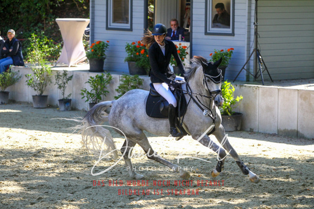 DKP43048 | Turniersportfotografie; Pferdefotografie; Dressurfotografie