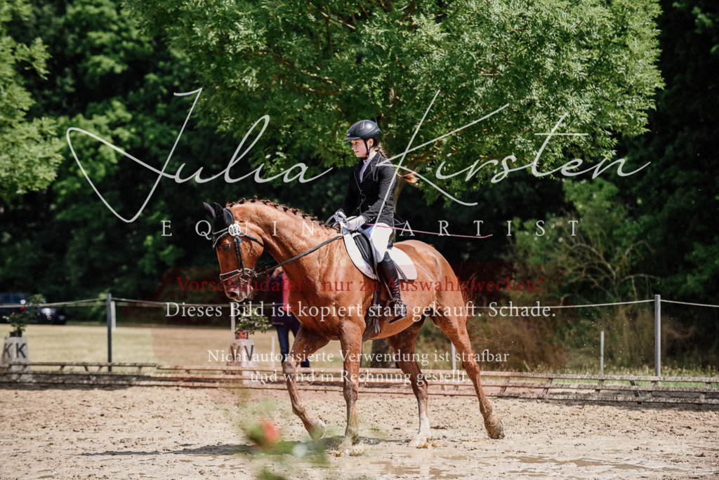 DSC_1402 | Pferde- und Turnierfotografie in Westsachsen. Pferdeportraits, Auftragszeichnungen und intuitive Kunst.