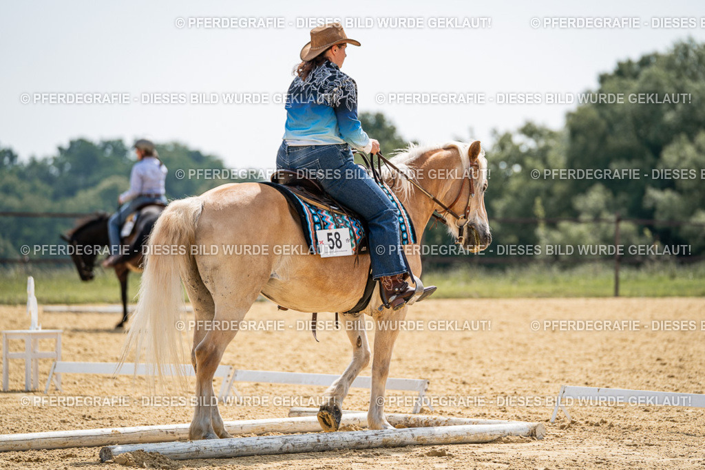 DSC00014 | Pferdegrafie