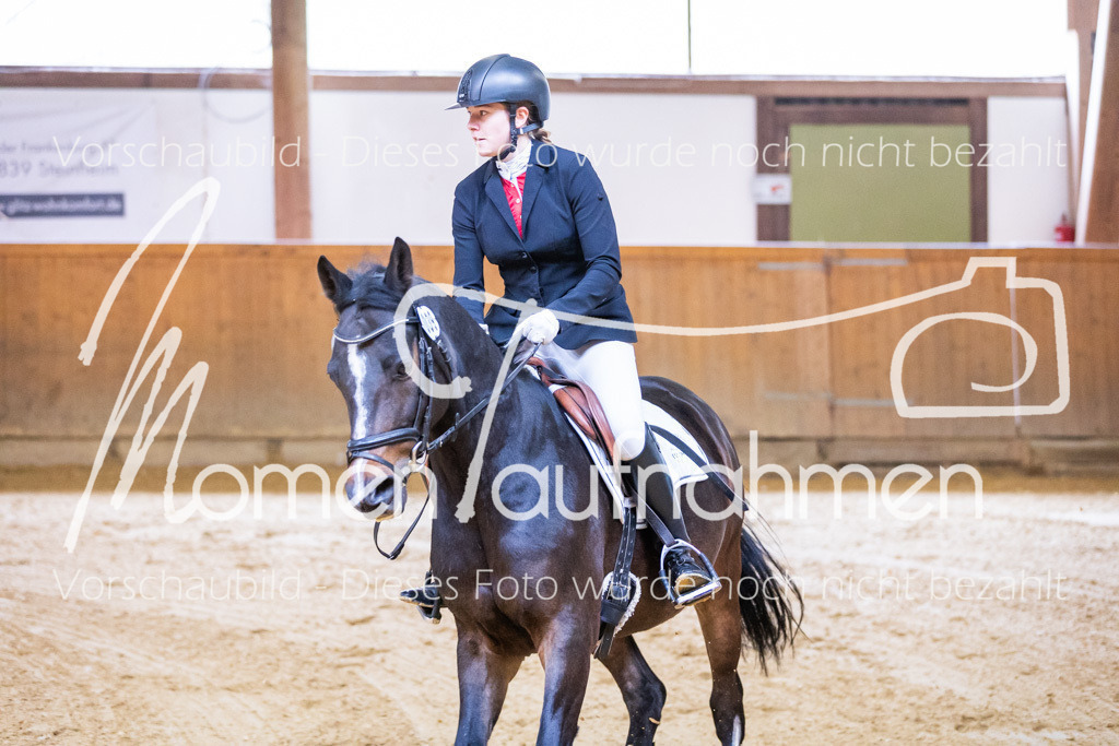 Sth-E-Springen-016 | MomenTaufnahmen Pferdesportfotos