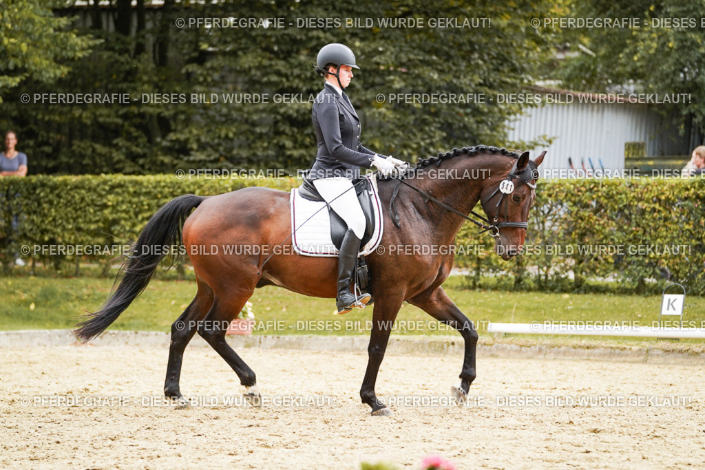 DSC00246 | Pferdegrafie