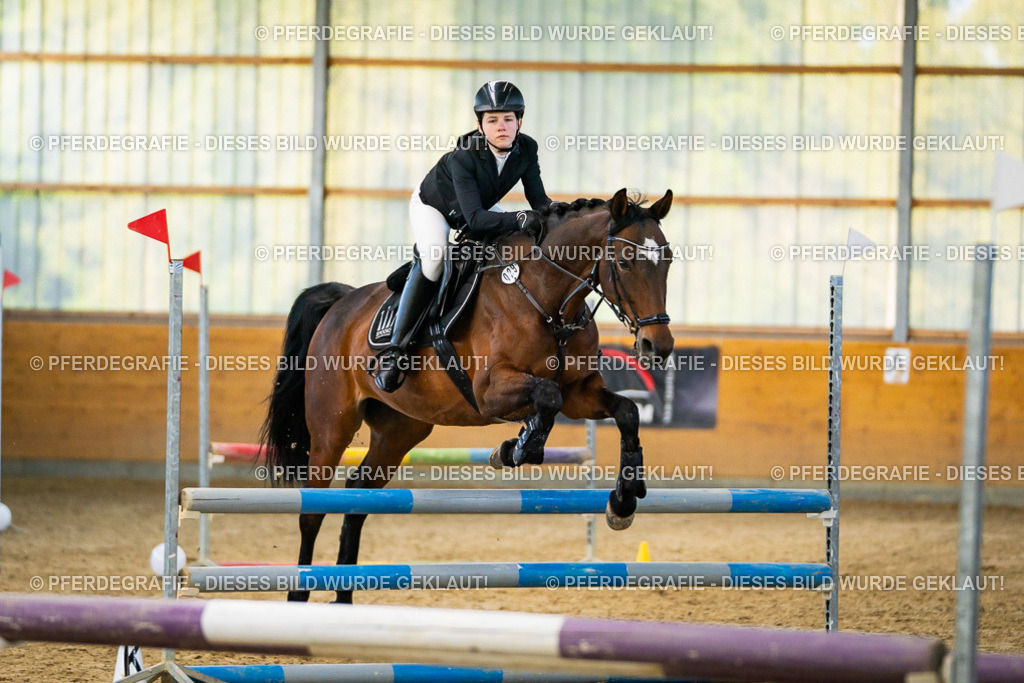 DSC00622 | Pferdegrafie