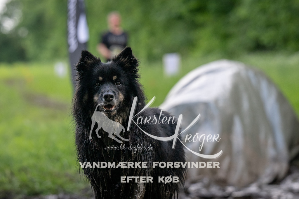 1332_ZZ91439-Bearbeitet | kk-dogfotos