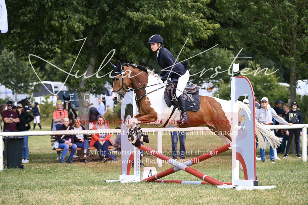 DSC_9347 | Pferde- und Turnierfotografie in Westsachsen. Pferdeportraits, Auftragszeichnungen und intuitive Kunst.
