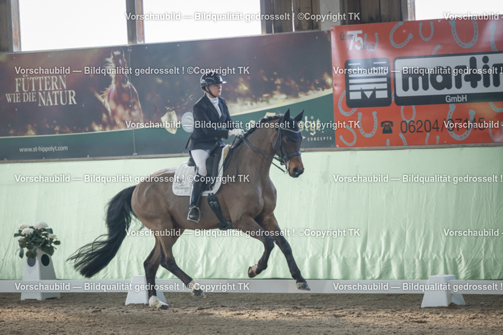 _D5A4399 | Emotionale Pferde- & People-Fotografie rund um Heidelberg, Leimen & Umgebung. Natürliche Fotos von Pferd, Mensch & Familie. Jetzt Termin sichern!