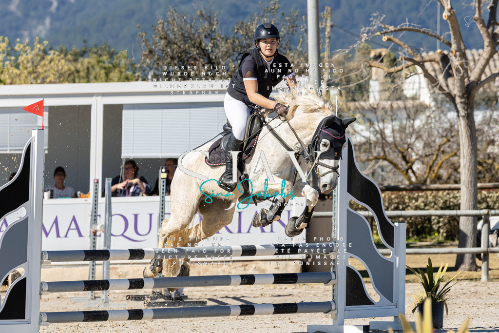 IMG_9367 | s-jay-photography - Realisiert mit Pictrs.com