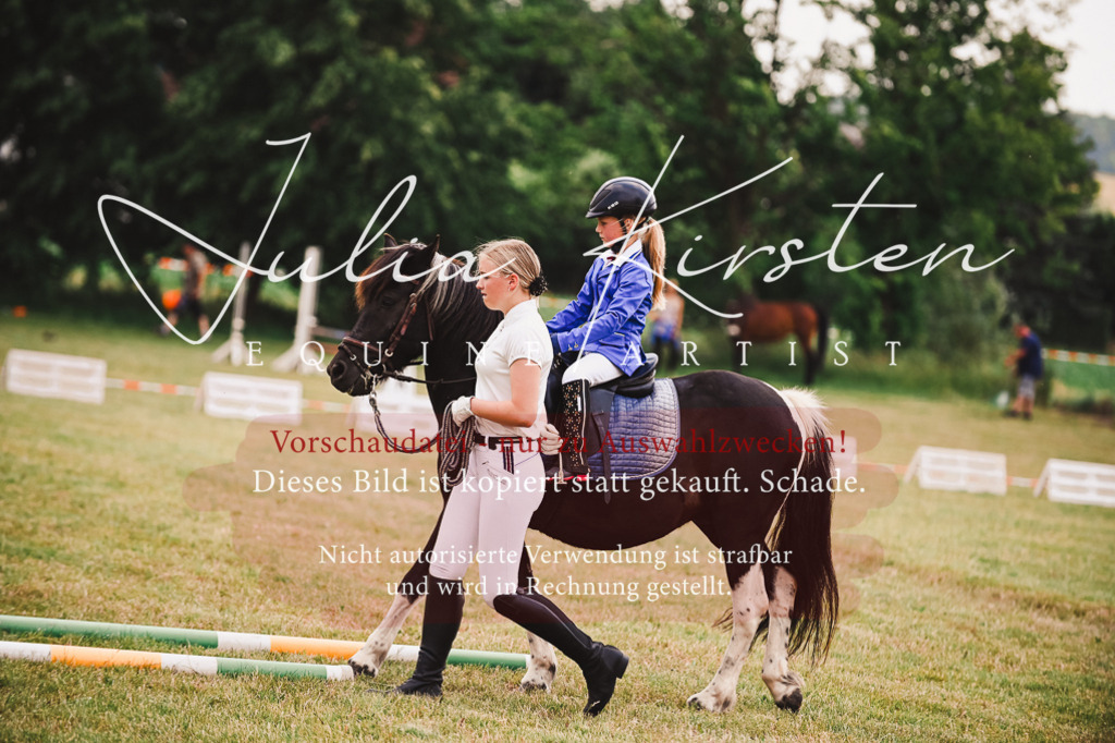 DSC_6461 | Pferde- und Turnierfotografie in Westsachsen. Pferdeportraits, Auftragszeichnungen und intuitive Kunst.