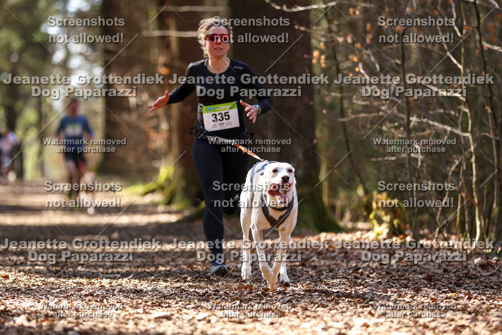 Dog Paparazzi - VCC26-1276 | Dog Paparazzi Jeanette Grottendiek Fotografie & Videografie - Realisiert mit Pictrs.com