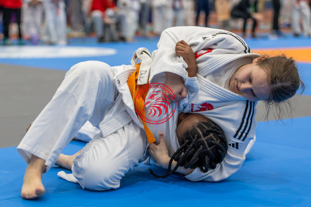Internationaler Adler Cup 2024 | Foto vom Internationalen Adler Cup Judo Turnier im Sport- und Freizeitzentrum Kalbach im Oktober 2024 - Realisiert mit Pictrs.com
