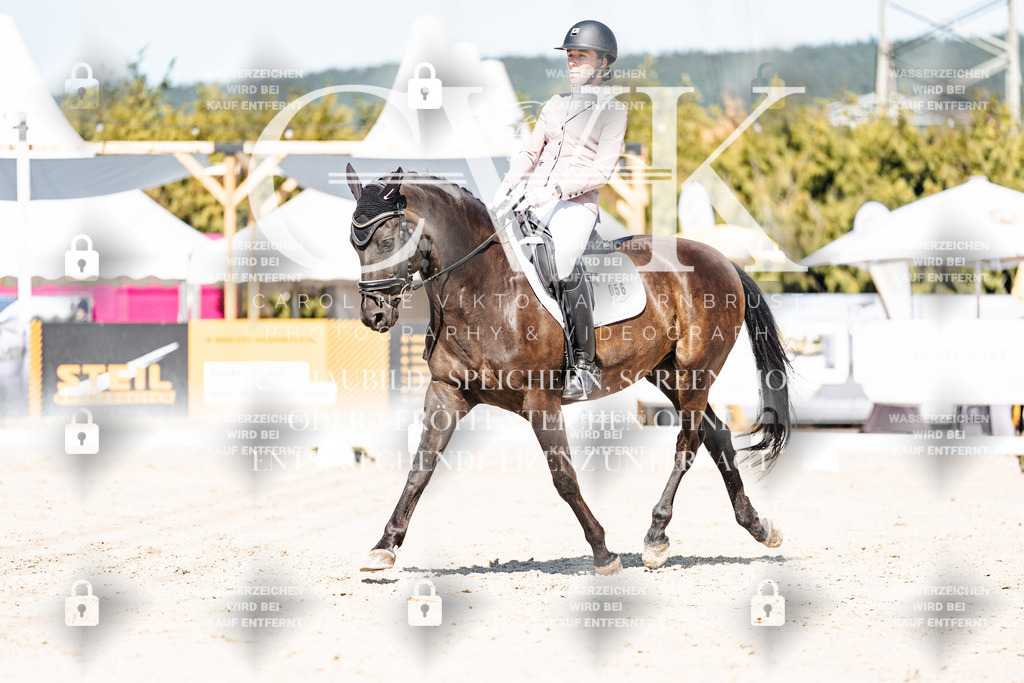 CK909394 | Turnierfotografie Pferdefotografie Trier Rheinland-Pfalz Pferdesport Reitsport Tierfotografie Sportfotografie Pferdevideo Pferdevideografie Equestrianvideography equestrianphotography  - Realisiert mit Pictrs.com