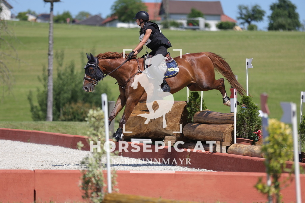 0P6A5404 | Willkommen bei Brunnmayr - Design & Fotografie – Ihrem Spezialisten für Reitturniere und Pferdeveranstaltungen in Oberösterreich, Salzburg und Bayern! Seit über 17 Jahren sind wir leidenschaftlich dabei.