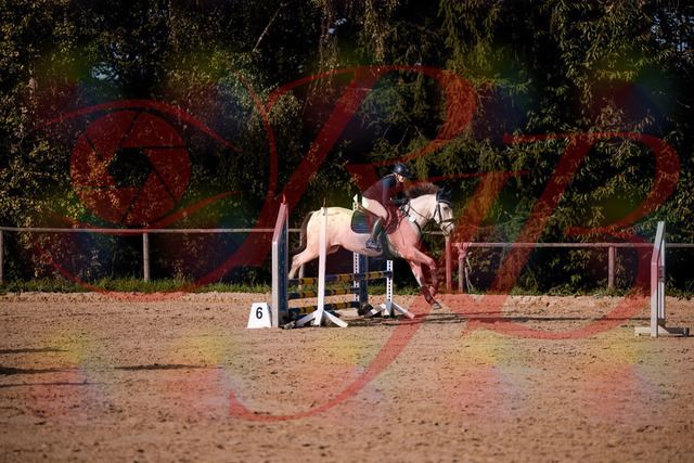 2026_10_03_Siefer-Hof_154542_Z81_64400506 | Professionelle Reitsport-, Turnier- und Eventfotografie von Robert Broda. Galerien mit ausgewählten und bearbeiteten Bildern direkt online ansehen und bestellen.