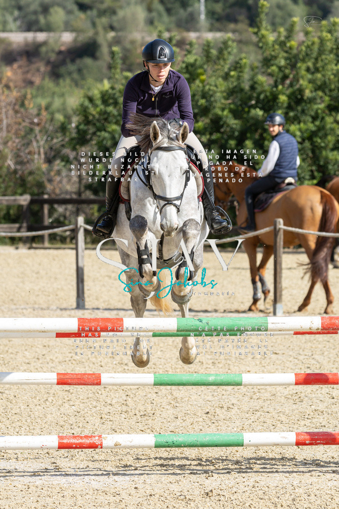 IMG_4356 | s-jay-photography - Realisiert mit Pictrs.com