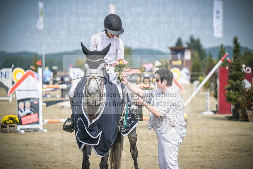 DOS_0038 | Entdecke hochwertige Reitturnierfotos von Foto Oger. Professionell, emotional und authentisch – jetzt Lieblingsmomente im Shop bestellen.Deutschlandweite Turnierfotografie. - Realisiert mit Pictrs.com