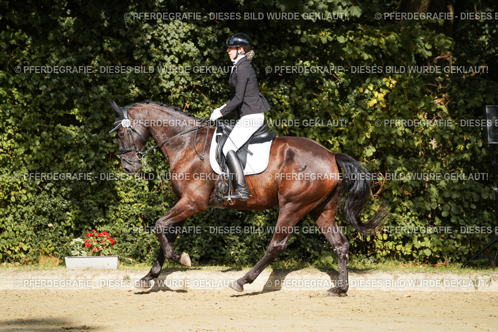 DSC08204 | Pferdegrafie