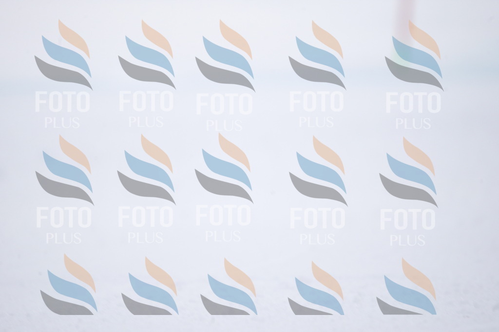 D8235 | holidayphoto