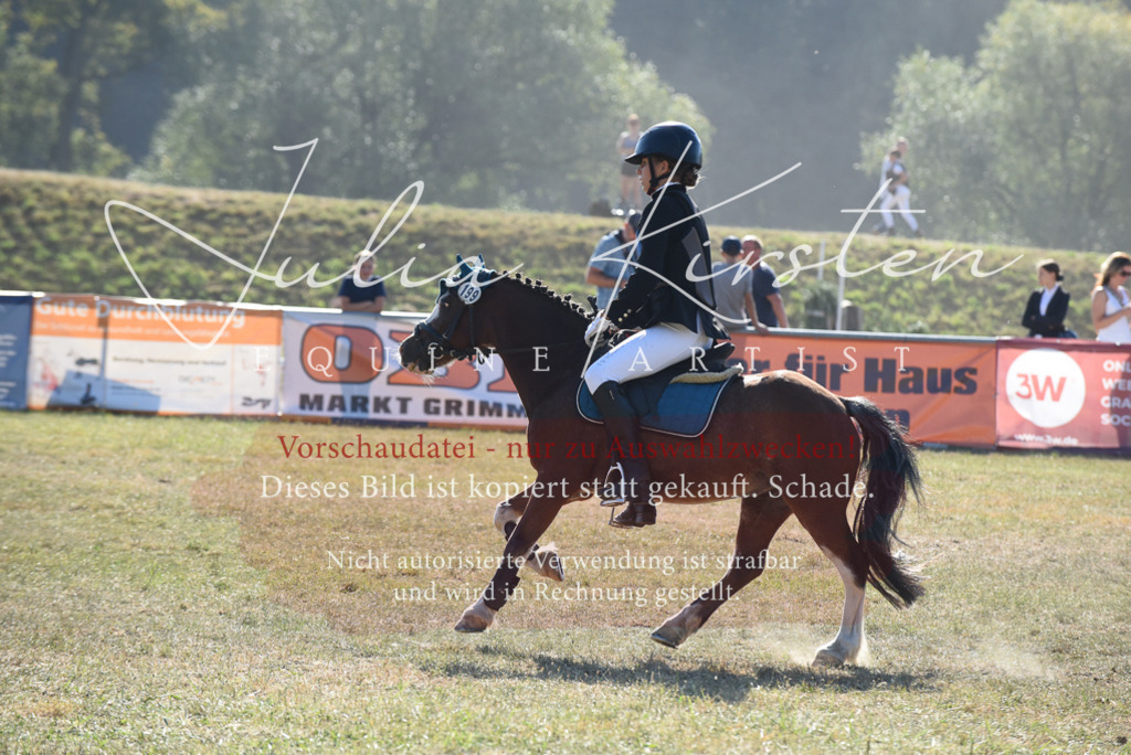DSC_5933 | Pferde- und Turnierfotografie in Westsachsen. Pferdeportraits, Auftragszeichnungen und intuitive Kunst.