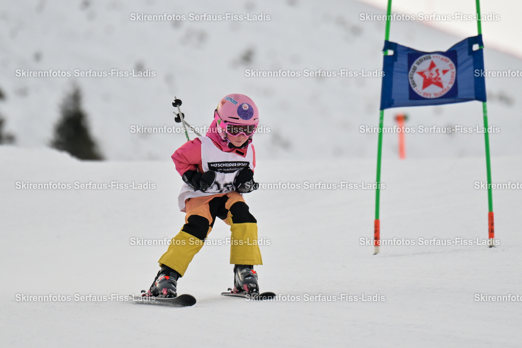 SRS_02.01.2026_0302 | SRS_02.01.2026_0302 - Realisiert mit Pictrs.com