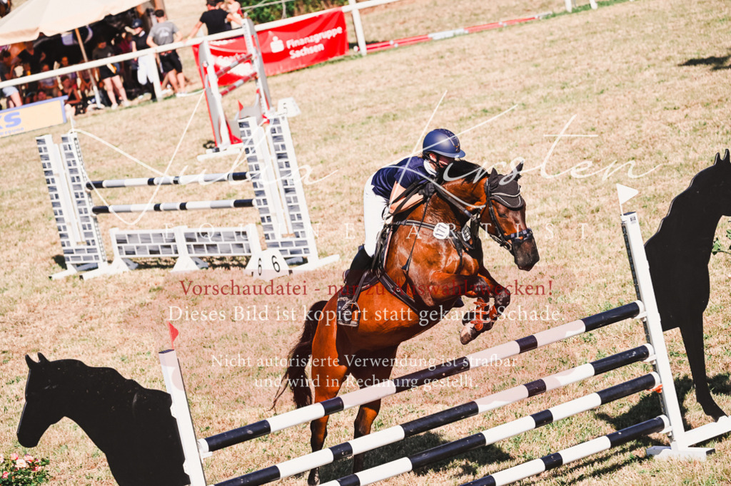 DSC_2120 | Pferde- und Turnierfotografie in Westsachsen. Pferdeportraits, Auftragszeichnungen und intuitive Kunst.