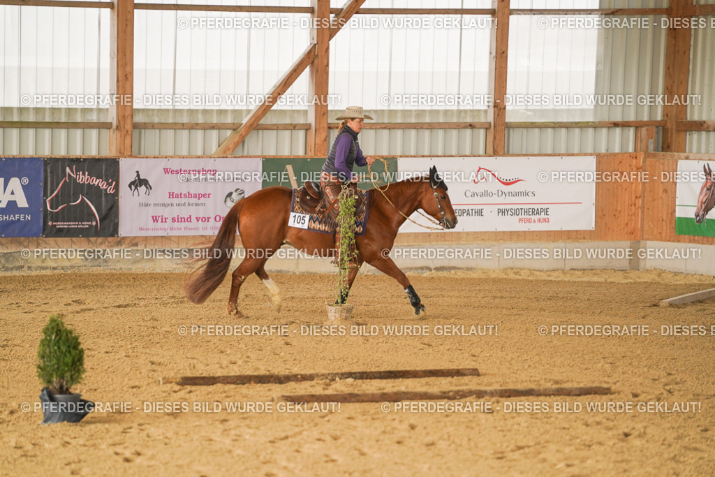 DSC01260 | Pferdegrafie