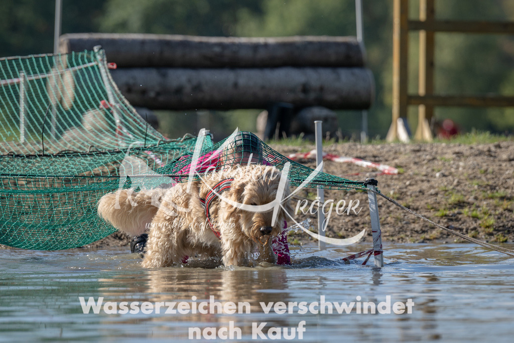 1311_ZZ90137 | kk-dogfotos