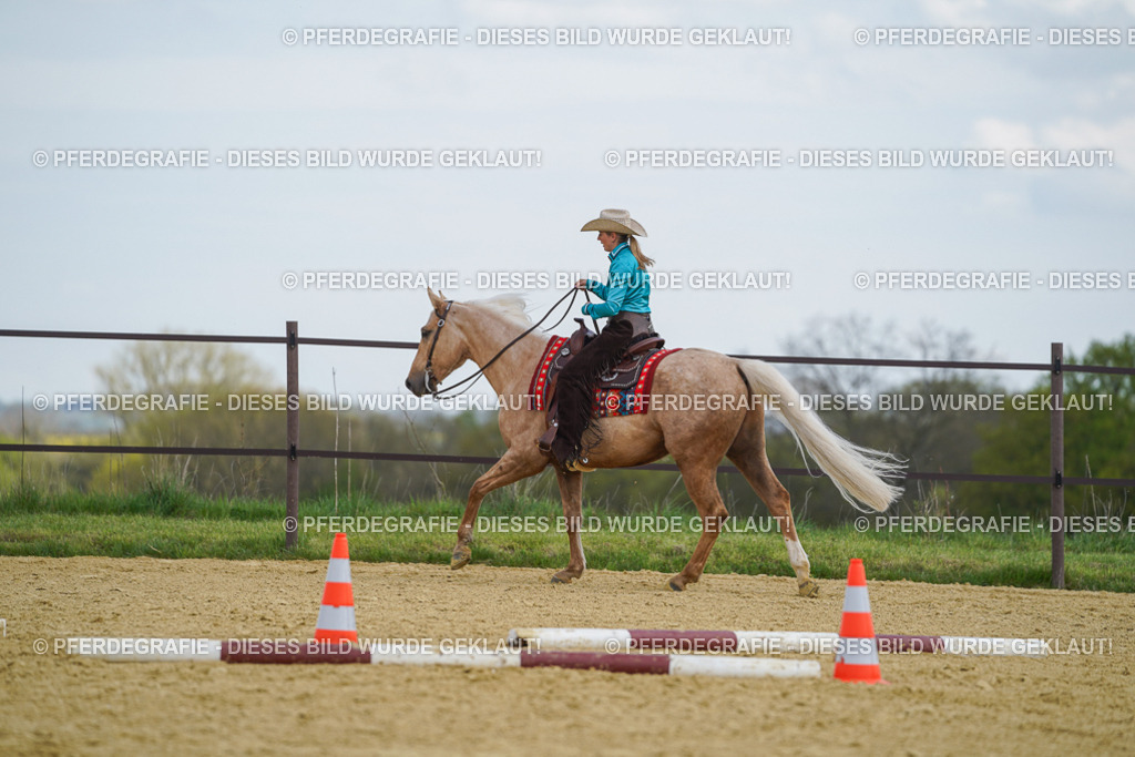 DSC05399 | Pferdegrafie