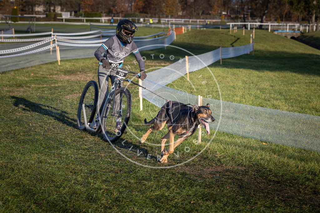CaniXpix_0L8A3916 | Hundefotografie, Tierfotograf, Pfotenfotografie, Fotoshooting Hund, Hunde Portrait, Hundesport, Hundeportraits, Heideshooting, Hunde, Sportfotograf, Hundefotograf, Turnierhundsport, THS,  - Realisiert mit Pictrs.com