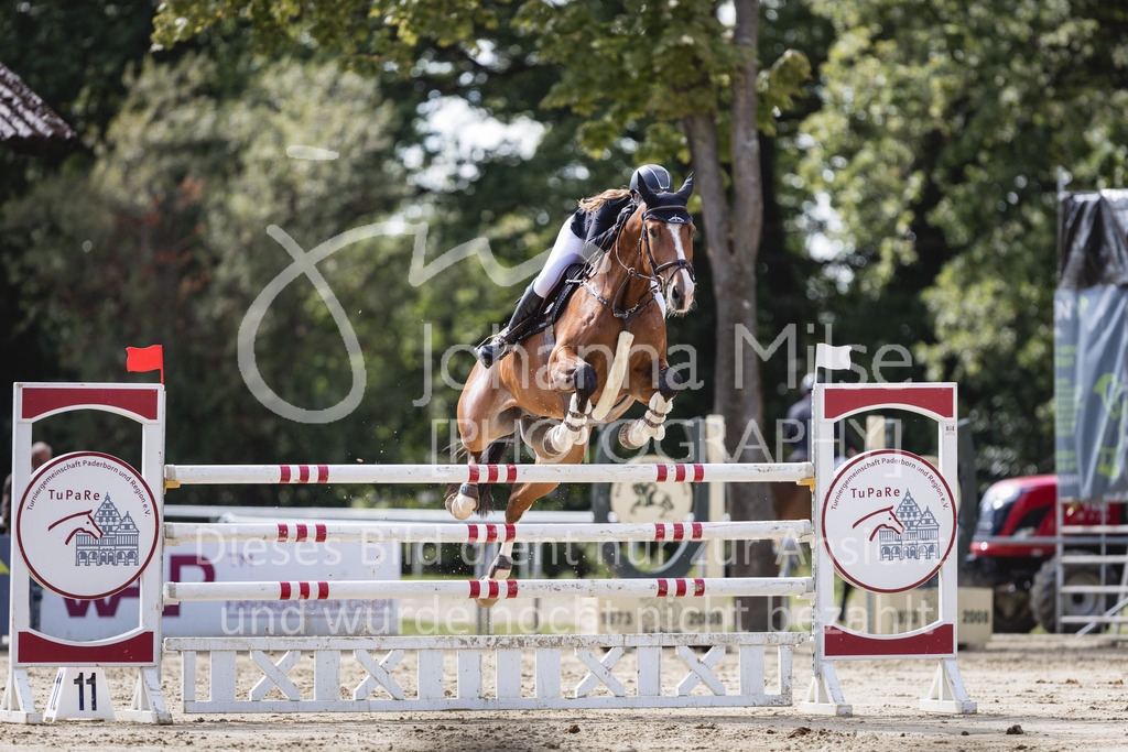 230826_Delbrueck_M2-Spr-844 | Deine schönsten Turniermomente als professionelle Fotos! Entdecke hochwertige Pferdesport-Fotografie im Online-Shop. Jetzt Fotos finden & bestellen!