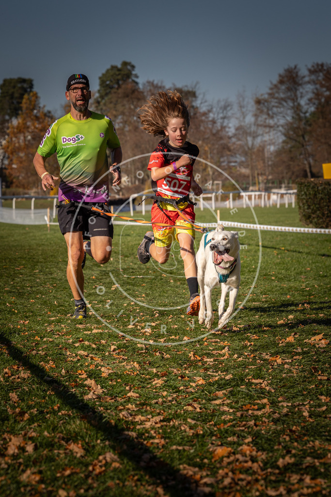 CaniXpix_0L8A6754 | Hundefotografie, Tierfotograf, Pfotenfotografie, Fotoshooting Hund, Hunde Portrait, Hundesport, Hundeportraits, Heideshooting, Hunde, Sportfotograf, Hundefotograf, Turnierhundsport, THS,  - Realisiert mit Pictrs.com