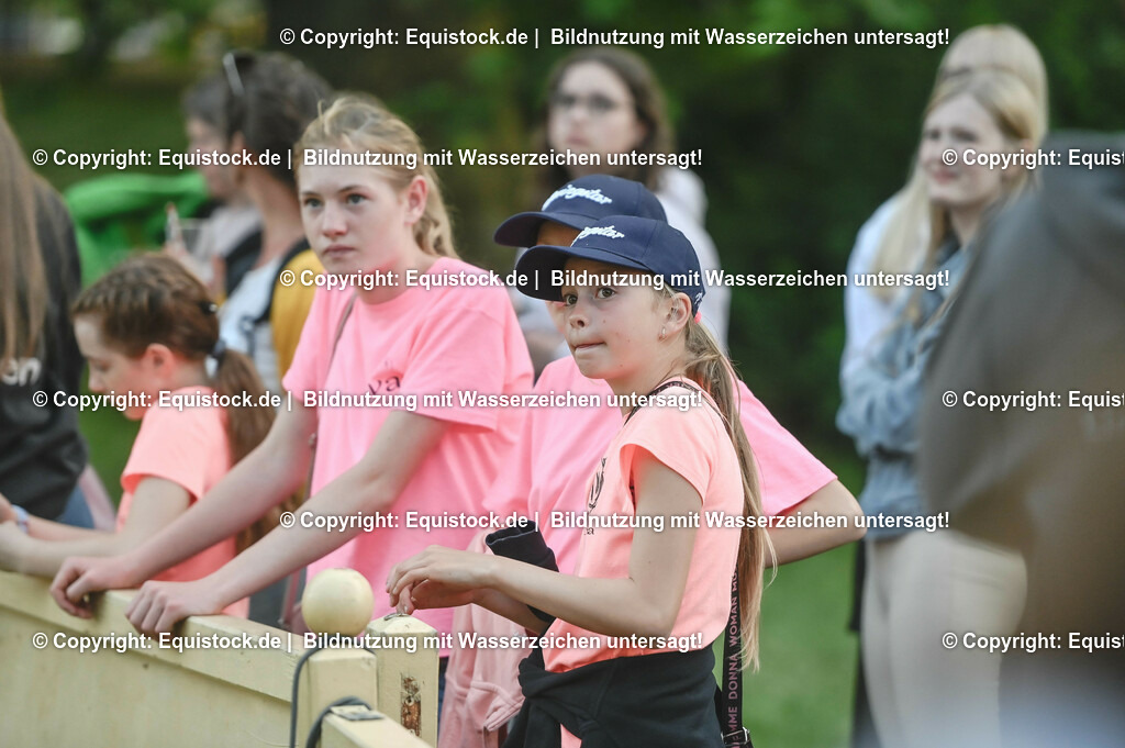 D78_3395 | equistock