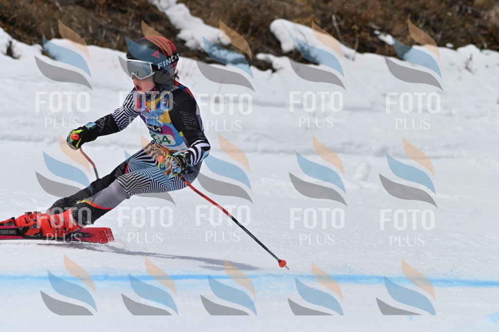 BGV_4651 | holidayphoto