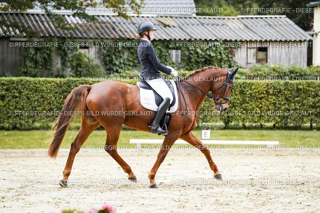 DSC07298 | Pferdegrafie